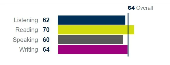 目标是各单项都到 65