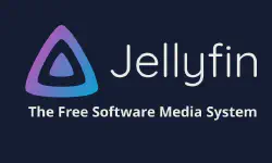 Featured image of post 把你的 Jellyfin 安全地暴露到公网