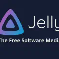 把你的 Jellyfin 安全地暴露到公网