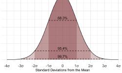 Featured image of post Foundation of Statistics