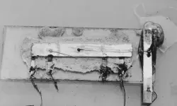 Featured image of post FoCS 02 - 进制