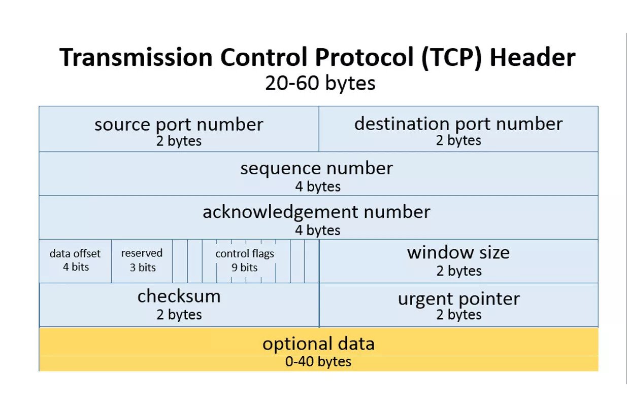 TCP Header Structure