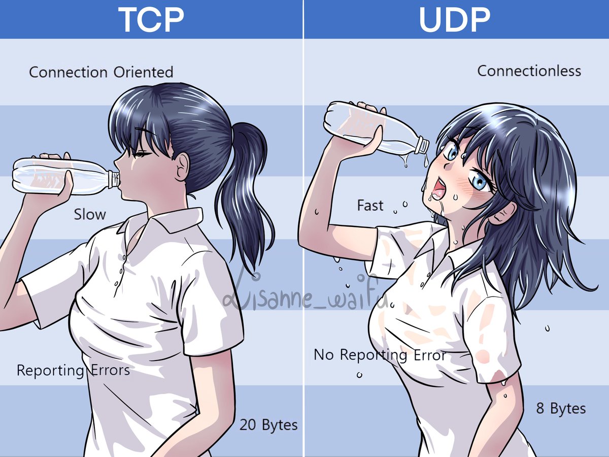 TCP and UDP