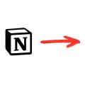 From Notion to Anki